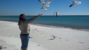 Feeding seagulls on a beach in FL